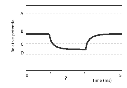 A membrane potential is plotted over time in the following graph. The Nernst equilibrium potentials for four ions (A to D) that affect the membrane potential in this system are indicated in the graph. What happened in the time period indicated by a question mark?