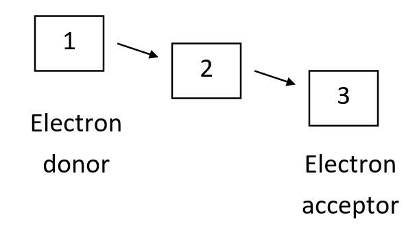 Proteins of the protein disulfide isomerase (PDI) family share common domains that harbor an active-site CXXC motif (C = cysteine; X = one of several residues). During the course of a redox reaction, one of the active-site cysteines in its reduced form can attack a disulfide bond in a substrate protein (that could itself be another PDI family member) to form a mixed disulfide between the enzyme and its substrate. This is then attacked by the other active-site cysteine, releasing the substrate in reduced form. The reverse of these reactions can occur instead in order to make disulfide bonds in target proteins. CXXA mutant PDI family proteins-in which one of the active-site cysteines is mutated to an alanine-can be trapped in the intermediate mixed disulfide state for an elongated time, facilitating the identification of their substrate proteins. Using these mutations in each of three interacting PDI family proteins-A, B, and C (one mutation at a time)-you have discovered that the mutant B interacts with A and C, while mutant A interacts with C but not with B. Finally, mutant C interacts with neither of the other two. The following diagram shows the thermodynamically favorable flow of electrons (plus protons) in the cascade involving these three proteins. Based on your results above, what proteins correspond to 1, 2, and 3 in the diagram, respectively? Your answer would be a three-letter string composed of letters A to C only, e.g. CBA.    
