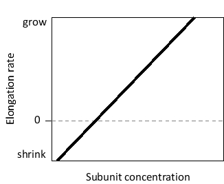 <strong>In the following graph of actin elongation rates under different subunit concentrations, which of the following corresponds to the slope of the line? </strong> A) kₒn B) kₒff C) kₒn/kₒff D) kₒff/kₒn E) kₒn - kₒff
