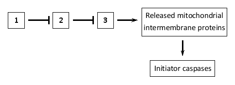The Bcl2 family is comprised of anti-apoptotic (A), BH3-only (B), and effector (E) proteins. In the following diagram representing the regulation of the intrinsic pathway of apoptosis, what class of activated Bcl2 family proteins (A, B, or E) corresponds to boxes 1 to 3, respectively? Your answer would be a three-letter string composed of letters A, B, and E only, e.g. ABE.