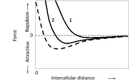 In the following schematic diagram, the estimated attractive or repulsive force between two adhesive cells is plotted as a function of distance between the cells. The dashed curve represents a condition under which the cells express cadherin but not N-CAM. The other two curves represent conditions under which both cadherin and heavily sialylated N-CAM are expressed. In one of the conditions, however, the ionic strength of the medium has been artificially increased by addition of salt. Which curve (1 or 2) do you think represents the high-salt condition? Write down 1 or 2 as your answer.