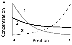 <strong>The following graph qualitatively represents the gradients of Nodal and Lefty gene products in an early frog embryo. The position along which primary axis is defined by these gradients? Which curves correspond to these two proteins? </strong> A) D-V axis; curves 1 and 2 B) D-V axis; curves 1 and 3 C) A-V axis; curves 1 and 2 D) A-V axis; curves 1 and 3