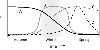 The qualitative graph below shows the molecular changes accompanying vernalization in the flowering plant Arabidopsis thaliana. Indicate which curve (A to D) in the graph better represents the temporal changes in each of the following variables. Your answer would be a four-letter string composed of letters A to D only, with each letter used once, e.g. BACD. ( ) Level of Coolair noncoding RNA ( ) Level of Flowering locus C (FlC) gene product (transcriptional repressor) ( ) Level of Flowering locus T (Ft) gene product (transcriptional activator) ( ) Level of repressive chromatin marks at the FlC locus