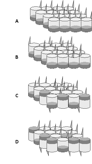 The following schematic drawings show an epithelial sheet. Which example shows a mutant with planar-cell-polarity defects but no other defects?
