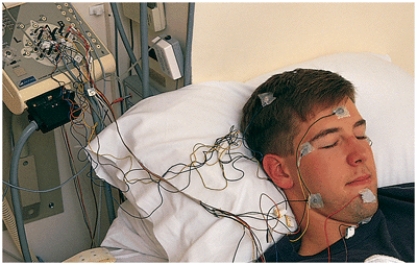 <strong>Sleeping represents what level of consciousness?  </strong> A) high B) medium C) low D) no <div style=padding-top: 35px> 