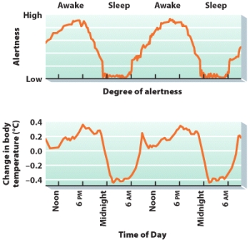 <strong>Disruptions in circadian rhythms lead to which of the following:  </strong> A) relationship problems B) reduced concentration C) health problems D) b and c <div style=padding-top: 35px> 