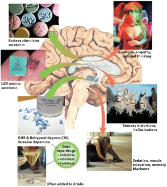 <strong>Which of the following is not true of club drugs?  </strong> A) They increase the likelihood of contracting AIDS. B) They increase reaction time. C) They affect sensory perceptions. D) They can cause serious health problems. <div style=padding-top: 35px> 