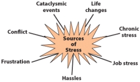 <strong>A stressor is defined as _______. </strong> A) a trigger that prompts a stressful reaction B) the physiological reaction of the body to environmental factors C) a negative emotion resulting from environmental unpleasantness D) the nonspecific response of the body to any demand made on it