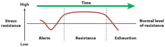 <strong>What stage of the GAS corresponds to the SAM system? </strong> A) alarm B) resistance C) exhaustion D) b and c