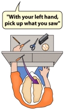 <strong>The situation in which a person is blindfolded and cannot verbally identify objects placed in her left hand suggests that they have had _____. </strong> A) a dyslexic episode B) split-brain surgery C) too much to drink D) a lateralization of her brain hemispheres