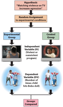 <strong>The BEST definition of an independent variable is a _____. </strong> A) measurable behavior that is exhibited by a participant and is affected by the dependent variable B) variable that is manipulated by the experimenter to determine its causal effect on the dependent variable C) variable that is kept constant during an experiment to prevent contamination of other variables D) variable that cannot be manipulated by anyone