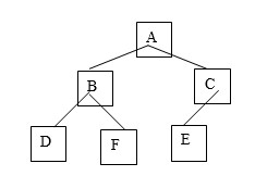   -For the tree shown above, list the leaves.
