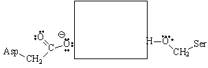 Complete the structure of the catalytic triad of chymotrypsin by drawing the proper structure of the missing residue side chain in the box provided.Show the proper hydrogen bonding involved in this triad.
