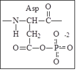 Give the structure of the modified residue that is involved as an intermediate of P-type ATPases.