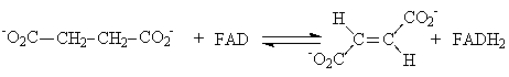 <strong>Which of the following is an example of an oxidation reaction?</strong> A) B) C) D) Ala-Ser + H<sub>2</sub>O → Ala + Ser E) None of the answers is correct.
