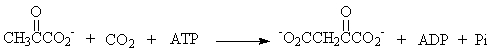<strong>Which of the following is an example of an oxidation reaction?</strong> A) B) C) D) Ala-Ser + H<sub>2</sub>O → Ala + Ser E) None of the answers is correct.