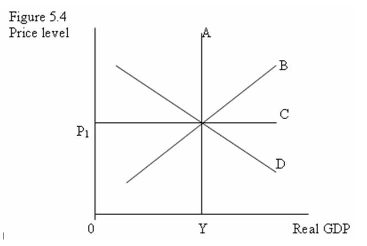 <strong> -Refer to Figure 5.4. The:</strong> A) short-run aggregate supply curve is A. B) short-run aggregate supply curve is B. C) potential output curve is B. D) potential output curve is D
