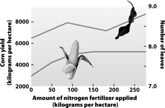 <strong>Which statement best summarizes the information presented in the graph below?  </strong> A)There is a strong correlation between the amount of applied fertilizer and the average number of leaves per corn plant. B)Higher applications of fertilizer produce proportional increases in corn yield. C)Fertilizer application is a cost-effective means of increasing farm profits. D)Leaf growth represents energy not directed to corn production and the two variables show a negative correlation. <div style=padding-top: 35px> 