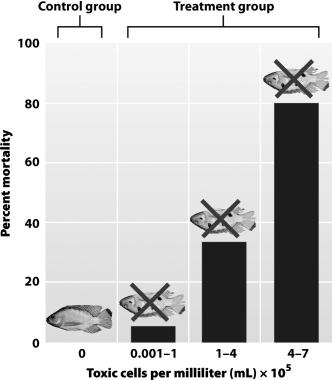 <strong>The graph below shows the 16-hour mortality resulting from exposing talapia to different concentrations of the dinoflagellate Pfiesteria.   Had high mortality occurred in the control group it would indicate that</strong> A)a more robust fish species should be used; the experiment had a fundamental design flaw. B)the talapia had an undiagnosed preexisting illness at the beginning of the experiment. C)Pfiesteria was not the toxic agent responsible for the death of the fish. D)talapia is not suitable for captive experiments. <div style=padding-top: 35px> 