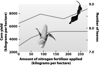 <strong>Which statement best summarizes the information presented in the graph below?  </strong> A)Higher applications of fertilizer produce proportional increases in corn yield. B)Fertilizer application up to 200 kg/hectare is a cost-effective means of increasing farm yields and profits. C)Proportional increases in irrigation are needed to maximize the growth potential of applied fertilizer. D)Factors other than fertilizer availability can limit the yield of corn. <div style=padding-top: 35px> 