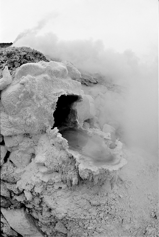 <strong>The photograph below shows Sulfolubus, an archaean that lives in environments with very high temperatures.   What hypothesis can explain the extreme habitats of the archaeans?</strong> A)They came to Earth from other planets, where harsher conditions prevail. B)They would be more widespread, but are unable to successfully compete with bacteria and now occupy habitats where bacteria cannot live. C)Archaeans evolved when Earth was much less hospitable, and are now relegated to those habitats most similar to early Earth. D)Numerous food resources are available and unexploited in Earth's extreme habitats. <div style=padding-top: 35px> 
