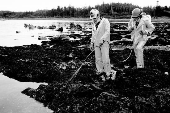 <strong>The workers shown in the photograph below are involved in bioremediation; what explanation could account for their specific actions?  </strong> A)They could be adding fertilizers to stimulate the growth of naturally occurring microbes that will consume a pollutant like oil. B)They could be dispersing nonnative microbes that will consume a pollutant like oil. C)They could be dispersing seeds to reestablish vegetative growth that will remove pollutants from the environment. D)All of the above are examples of bioremediation. <div style=padding-top: 35px> 