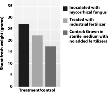 <strong>What best explains the differences in shoot weight shown in the graph below? </strong> A)Commercial fertilizers often contain harmful contaminants that can suppress growth. B)Sterilized growth environments remove competitive bacteria and fungi, allowing plants to experience their best possible growth. C)Commercial fertilizers can be tailored to meet the needs of specific plants, producing the best possible growth for that species. D)Mycorrhizal fungi not only increase the availability of soil nutrients but often transport them into the plant root.