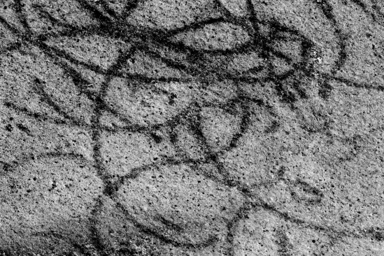 The organism recorded in this 2.1-billion-year-old fossil is almost certainly a eukaryote; no prokaryote has been observed to be multicellular with such relatively large cells.