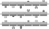 Using hydrolysis, a total of ____________________ water molecules would be required to completely separate the polymer below into individual monomers.