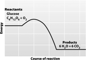 The graph below depicts the amount of energy involved over the course of a chemical reaction. The graph indicates that