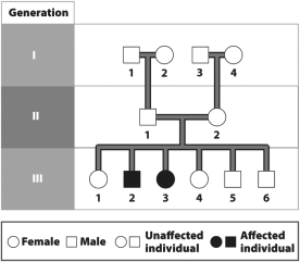<strong>The figure below contains a pedigree for cystic fibrosis, an autosomal recessive disorder. Which of the following is true? </strong> A)At least two of the members of Generation I are carriers of cystic fibrosis. B)None of the members of Generation II is a carrier of cystic fibrosis. C)Individual 2 in Generation II has cystic fibrosis. D)The cystic fibrosis gene is found on a sex chromosome.