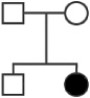 <strong>The genetic disorder followed through this pedigree is </strong> A)recessive and X-linked. B)recessive and not X-linked. C)dominant and X-linked. D)dominant and not X-linked.