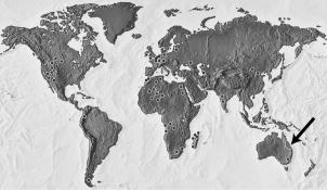 <strong>In the figure below, the region indicated by the arrow is the only modern-day location of the freshwater lungfish. Fossils of the ancestors of the lungfish, however, have been found all over the world (dots throughout map). What does the distribution of these fossils indicate? </strong> A)When Pangaea separated to form our continents, the living ancestors of the lungfish were separated. When they died, some of them formed fossils in their new lands. B)The same species of lungfish evolved on all of Earth's major landmasses after continental drift had stopped. C)The ancestors of the lungfish existed on Pangaea. After they died, some were fossilized. Their fossils were separated by continental drift. D)Lungfish were much more successful in the climates of North America than they were in the climates of South America.