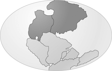 Approximately 200 million years ago, ____________________, the giant land mass shown in the figure below, began to split up into the continents we know today.