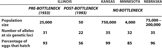 <strong>Which of the following is a valid interpretation of this data regarding prairie chicken populations in several states in the Midwest?  </strong> A)Prairie chicken populations in Illinois have a lower mutation rate than those in the other listed states. B)Illinois prairie chickens lost genes from their genome as a result of a population crash. C)Smaller populations of prairie chickens have greater reproductive success. D)Larger populations of prairie chickens tend to have greater genetic diversity in their gene pools. <div style=padding-top: 35px> 