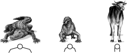 In this diagram, the organism in the middle is classified as a ____________________, a group of reptiles that has jaws similar to those of a mammal.