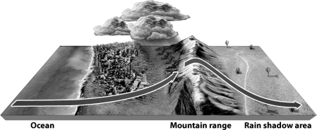<strong>The figure below illustrates the rain shadow effect. What best explains why the leeward side of the mountain experiences less rainfall?</strong> A)The air mass simply has no more moisture; it was all released on the windward slope. B)As the air flows downslope it is compressed and warmed, allowing it not only to retain its own moisture but often removing moisture from the soil beneath as well. C)The rotation of the Earth causes the air moving downslope to be displaced to the right, reducing rainfall behind the mountain. D)All of the above contribute to the rain shadow effect.