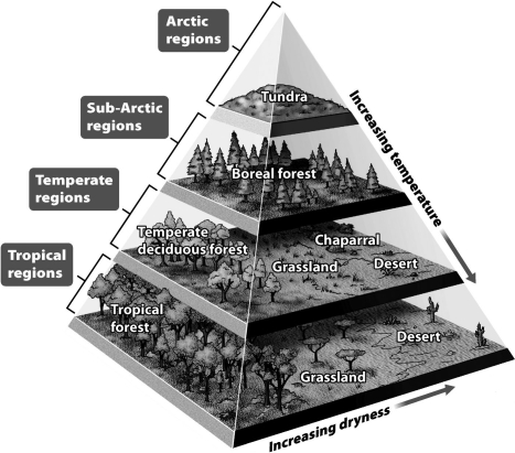 <strong>Understanding plate tectonics has helped ecologists make sense of ancient biomes; when landmasses move in elevation or to different regions of the globe they experience climatic change. Use the figure above to predict the change for a temperate deciduous forest as it moves south and elevates by 5,000 feet.</strong> A)It becomes a tropical forest. B)It becomes a grassland. C)It becomes chaparral. D)It becomes a boreal forest.