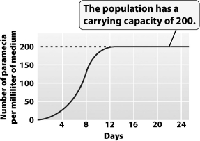 <strong>The graph below shows the growth of a Paramecium population. The greatest amount of daily growth occurred when the population was at approximately _____ percent of its carrying capacity</strong> A)10 B)25 C)50 D)100