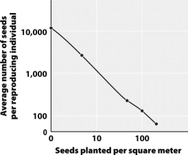 <strong>Examine the graph below. What statement best describes the relationship between planting density and seed production per individual plant?</strong> A)At high planting densities, both seed production per plant and total seeds produced declines. B)At high planting densities, seed production per plant declines while total seeds produced remains constant. C)At low planting densities, both seed production per plant and total seeds produced increases. D)At high planting densities, seed production per plant declines while total seeds produced increases.