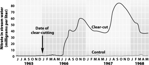 <strong>In the Hubbard Brook Experimental Forest in New Hampshire, a portion of the forest was first clear-cut, then sprayed with herbicides for 3 years to prevent growth. A second portion of the forest was not clear-cut or sprayed and served as a control plot. The graph below shows that nitrate, a form of nitrogen that is important to plants, was lost from the ecosystem in streams at a much higher rate in the clear-cut portion of the forest than in the control portion.   What best explains the small releases of nitrogen from the control portion of the forest at the Hubbard Brook Experimental Forest?</strong> A)Its nitrogen was sequestered in the forest biomass and temporarily unavailable. B)With intact vegetation to intercept the acid rain that falls in the area it failed to reach the soil and chemically react to release the nitrogen. C)With intact vegetation, rainwater washed little soil and nitrogen from the forest floor. D)All of the above contributed to the small amount of nitrogen loss. <div style=padding-top: 35px> 
