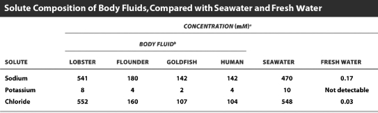 <strong>Examine the table below. Based on the data in this table, which organism is most likely to be an osmoconformer? Note that lobsters and flounders live in seawater and goldfish live in freshwater.</strong> A)lobster B)flounder C)goldfish D)humans