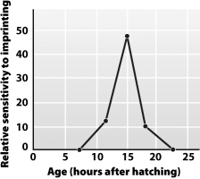 Examine the graph below. According to this graph, a gosling is most likely to _____ about 15 hours after hatching.
