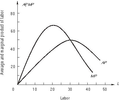 Use the following figure, showing a firm's marginal and product curves for labor, the only variable input, to answer the next three questions. Labor is the only variable input. The wage rate of labor is $200 and the fixed cost is $6,000. - When average variable cost reaches its minimum, a. output is ________ units. b. AVC is $________ and MC is $________ at this level of output. c. ATC is $________.
