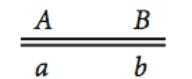 <strong>Which is NOT an acceptable notation for two linked genes,A and B,in a heterozygote?</strong> A) B) C) D)AB/ab E)All of the above are acceptable notations.