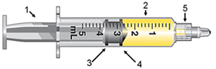 <strong>The leading ring is represented by which number?  </strong> A) 3 B) 5 C) 2 D) 4 <div style=padding-top: 35px> 
