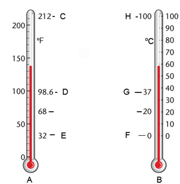 <strong>The freezing temperature of water on the Fahrenheit thermometer is indicated by the letter: </strong> A) F B) C C) G D) E