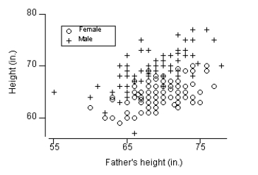 The scatterplot below shows student heights (y axis) versus father's heights (x axis) for a sample of 173 college students. The symbol + represents a male student and the symbol o is represents a female student. Based on the scatterplot, what is the problem with using a regression equation for all 173 students?
