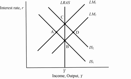 <strong>Use the following to answer questions : Exhibit: Short Run to Long Run (Exhibit: Short Run to Long Run) Based on the graph, if the economy starts from a short-term equilibrium at A, then the long-run equilibrium will be at ____ with a _____ price level.</strong> A) B; higher B) B; lower C) C; higher D) C; lower