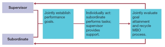 Visual Diagram Questions (These diagrams can be used to test understanding of concepts rather than mere recollection. The provision of the diagrams removes the pressure to remember but does draw on the ability to explain a visual image. Instructors should take care if using a mix of other questions with visual diagram questions to ensure that the diagram does not provide answers to other questions in a test or exam.) -What does the following diagram illustrate? Explain, giving examples to illustrate your answer.